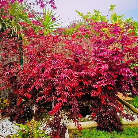 بيت للعطل El Eden De Tete *