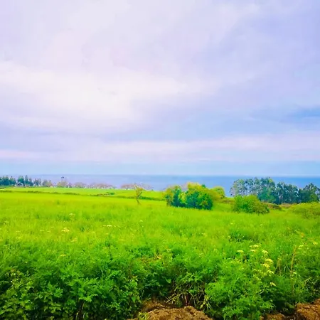 El Eden De Tete Argüero
