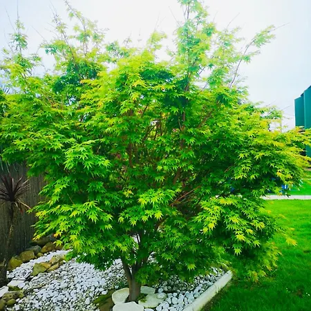 Feriehus El Eden De Tete Argüero